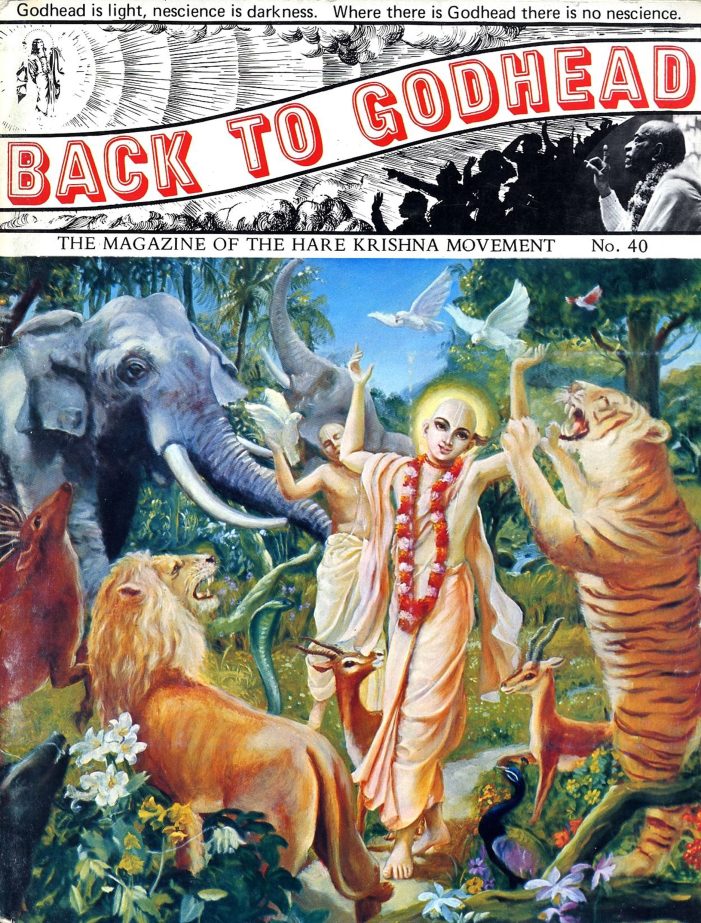Back to Godhead Vol 40, 1970-1973 PDF Download