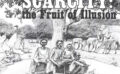 Overpopulation and Scarcity: the Fruit of Illusion