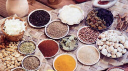 Vegetarian Cooking — Exploring Spices