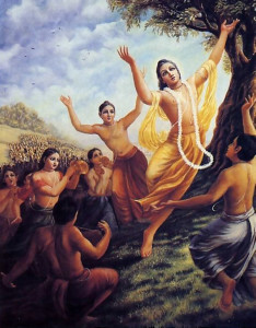 Lord Caitanya (wearing yellow dhoti) predicted that the chanting of Hare Krsna would spread to every town and village in the world.