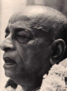 "The sun rises exactly on the minute, the second. It is not by chance, but by minute plan. So everything in the nature has a design, and behind it is a brain, a very big brain." - Srila Prabhupada
