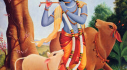 The Yoga of Pure Attachment