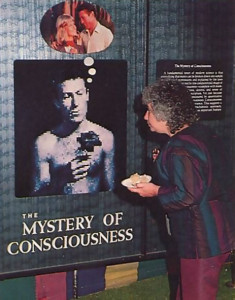 A visitor explores "The Mystery of Consciousness" while savoring the mysteriously good tastes of the festival refreshments.