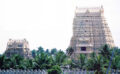 Lord Caitanya Visits Sri Rangam