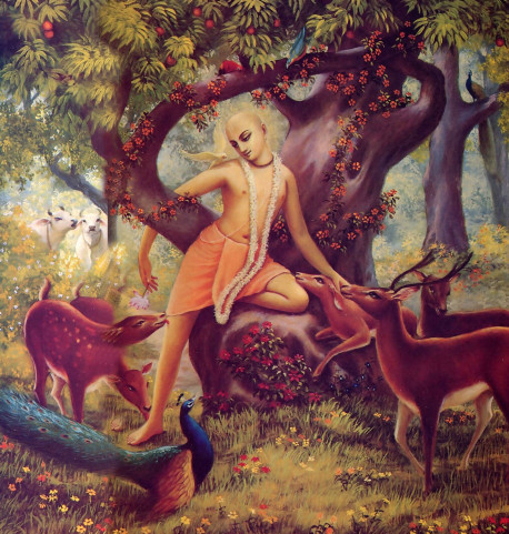 The animals in Vrndavana's forests surrounded Sri Caitanya Mahaprabhu, treating Him as an old friend. This was not unusual, since Lord Caitanya is Krsna Himself, the heart and soul of all Vrndavana's residents.