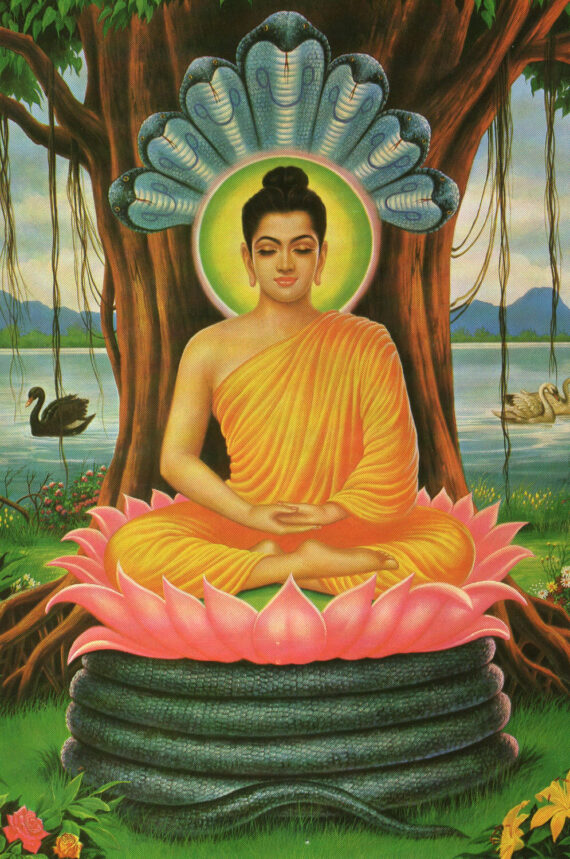 Lord Buddha — The Emblem of Theism